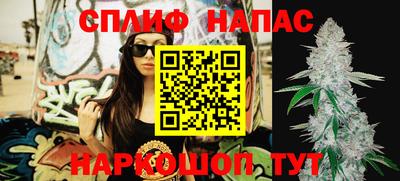 твердый Новозыбков